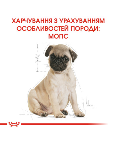 Корм для щенков породы Мопс ROYAL CANIN PUG PUPPY 1.5 кг