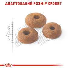 Корм для домашніх і вуличних котів ROYAL CANIN FIT 400 г