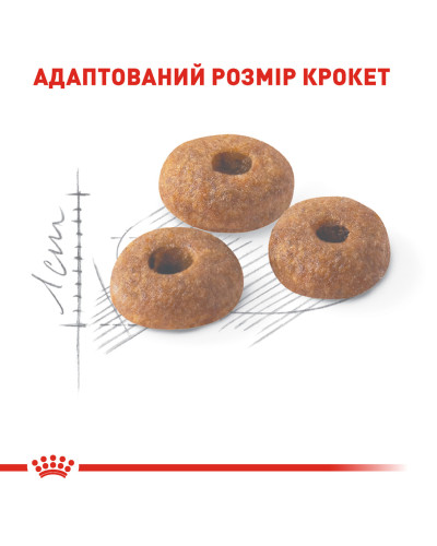 Корм для домашніх і вуличних котів ROYAL CANIN FIT 2 кг