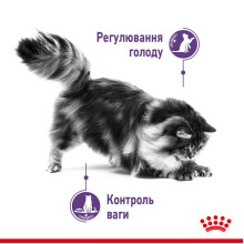 Корм для взрослых стерилизованных кошек ROYAL CANIN APPETITE CONTROL CARE 2 кг