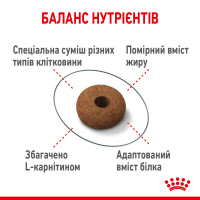 Корм для дорослих стерилізованих котів ROYAL CANIN APPETITE CONTROL CARE 2 кг