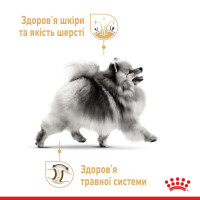 Вологий корм для собак породи Померанський шпіц ROYAL CANIN POMERANIAN ADULT паштет 85 г