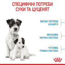 Cухой корм для новорожденных щенков миниатюрных пород ROYAL CANIN MINI STARTER 1 кг
