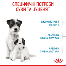 Cухий корм для новонароджених цуценят мініютюрних порід ROYAL CANIN MINI STARTER 1 кг