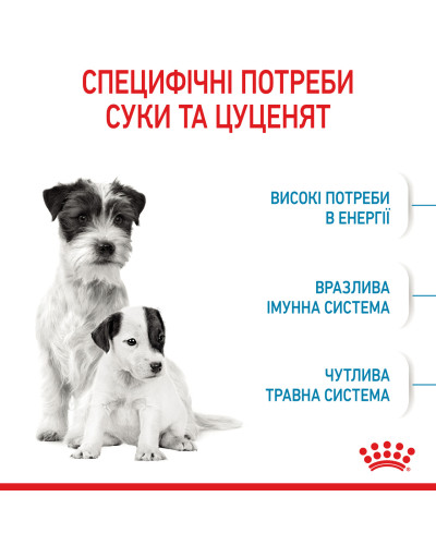 Cухий корм для новонароджених цуценят мініютюрних порід ROYAL CANIN MINI STARTER 1 кг
