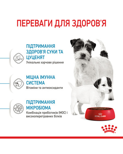 Cухий корм для новонароджених цуценят мініютюрних порід ROYAL CANIN MINI STARTER 1 кг