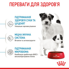 Корм для новонароджених собак ROYAL CANIN MINI STARTER 8 кг