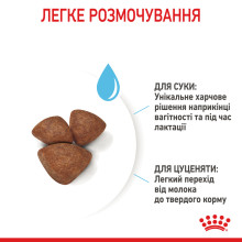 Cухой корм для новорожденных щенков миниатюрных пород ROYAL CANIN MINI STARTER 1 кг