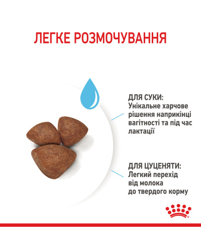 Cухий корм для новонароджених цуценят мініютюрних порід ROYAL CANIN MINI STARTER 1 кг