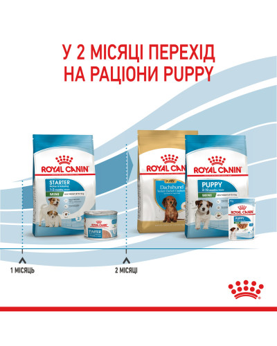 Корм для новорожденных собак ROYAL CANIN MINI STARTER 8 кг