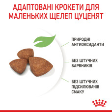 Корм для щенков ROYAL CANIN XSMALL PUPPY 1.5 кг