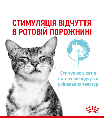 Вологий корм для дорослих котів ROYAL CANIN SENSORY FEEL GRAVY шматочки у соусі 85 г, стимулює відчуття корму