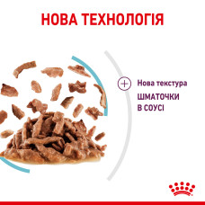 Вологий корм для дорослих котів ROYAL CANIN SENSORY FEEL GRAVY шматочки у соусі 85 г, стимулює відчуття корму