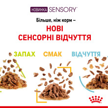 Влажный корм для взрослых кошек ROYAL CANIN SENSORY FEEL JELLY кусочки в желе 85 г, стимулирует ощущение корма