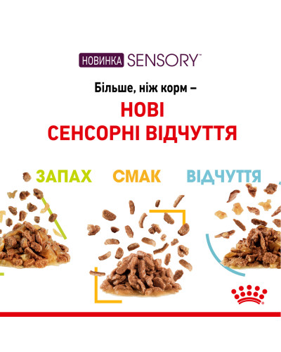 Вологий корм для дорослих котів ROYAL CANIN SENSORY FEEL JELLY шматочки у желе 85 г, стимулює відчуття корму