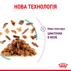 Вологий корм для дорослих котів ROYAL CANIN SENSORY FEEL JELLY шматочки у желе 85 г, стимулює відчуття корму