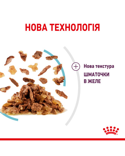 Вологий корм для дорослих котів ROYAL CANIN SENSORY FEEL JELLY шматочки у желе 85 г, стимулює відчуття корму