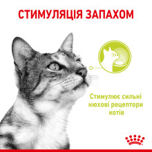 Влажный корм для взрослых кошек ROYAL CANIN SENSORY SMELL GRAVY 85 г, стимулирует обонятельные рецепторы