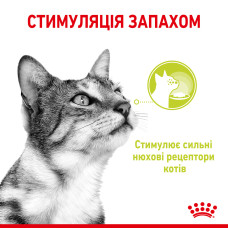 Вологий корм для дорослих котів ROYAL CANIN SENSORY SMELL GRAVY 85 г, cтимулює нюхові рецептори