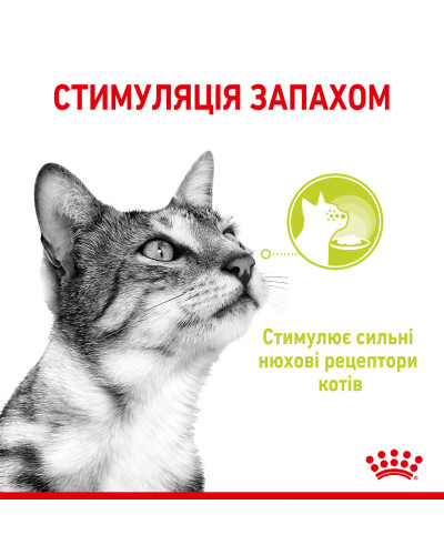 Вологий корм для дорослих котів ROYAL CANIN SENSORY SMELL GRAVY 85 г, cтимулює нюхові рецептори