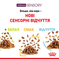 Вологий корм для дорослих котів ROYAL CANIN SENSORY SMELL GRAVY 85 г, cтимулює нюхові рецептори