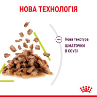 Вологий корм для дорослих котів ROYAL CANIN SENSORY SMELL GRAVY 85 г, cтимулює нюхові рецептори