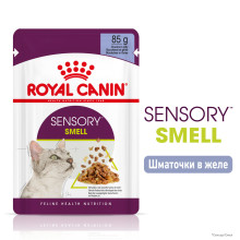 Влажный корм для взрослых кошек ROYAL CANIN SENSORY SMELL JELLY 85 г стимулирует обонятельные рецепторы
