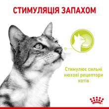 Влажный корм для взрослых кошек ROYAL CANIN SENSORY SMELL JELLY 85 г стимулирует обонятельные рецепторы