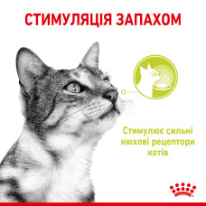 Вологий корм для дорослих котів ROYAL CANIN SENSORY SMELL JELLY 85 г, стимулює нюхові рецептори