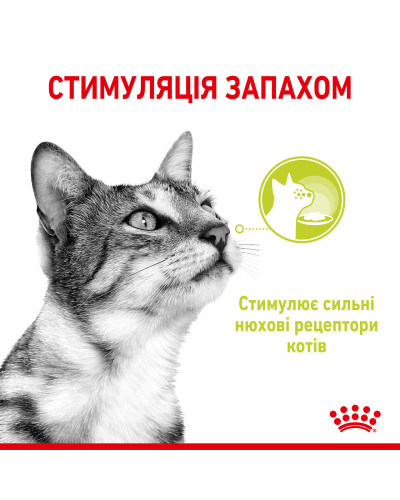 Вологий корм для дорослих котів ROYAL CANIN SENSORY SMELL JELLY 85 г, стимулює нюхові рецептори
