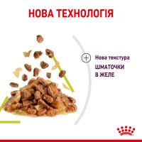 Вологий корм для дорослих котів ROYAL CANIN SENSORY SMELL JELLY 85 г, стимулює нюхові рецептори