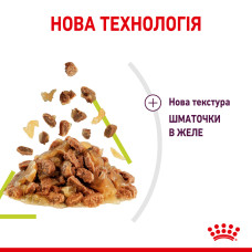 Вологий корм для дорослих котів ROYAL CANIN SENSORY SMELL JELLY 85 г, стимулює нюхові рецептори