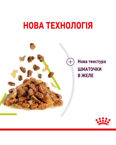 Вологий корм для дорослих котів ROYAL CANIN SENSORY SMELL JELLY 85 г, стимулює нюхові рецептори