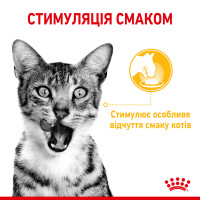 Вологий корм для дорослих котів ROYAL CANIN SENSORY TASTE GRAVY 85 г, шматочки у соусі, cтимулює смак