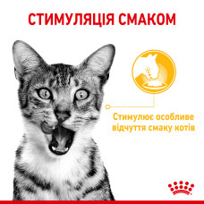 Вологий корм для дорослих котів ROYAL CANIN SENSORY TASTE GRAVY 85 г, шматочки у соусі, cтимулює смак