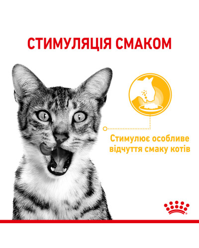 Вологий корм для дорослих котів ROYAL CANIN SENSORY TASTE GRAVY 85 г, шматочки у соусі, cтимулює смак