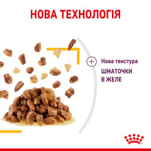 Вологий корм для дорослих котів ROYAL CANIN SENSORY TASTE JELLY 85 г, шматочки у желе, cтимулює смак