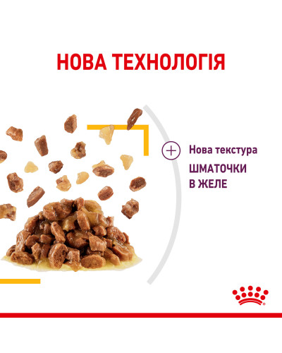 Вологий корм для дорослих котів ROYAL CANIN SENSORY TASTE JELLY 85 г, шматочки у желе, cтимулює смак