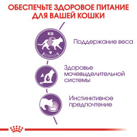 Вологий корм для дорослих стерилізованих котів ROYAL CANIN STERILISED IN JELLY 85 г