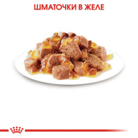 Вологий корм для дорослих стерилізованих котів ROYAL CANIN STERILISED IN JELLY 85 г