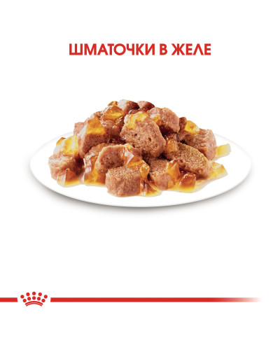 Вологий корм для дорослих стерилізованих котів ROYAL CANIN STERILISED IN JELLY 85 г