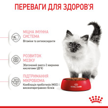 Корм для кошенят віком до 12 місяців ROYAL CANIN KITTEN 1.2 кг