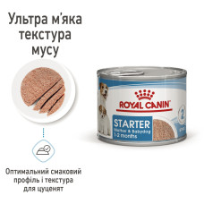 Вологий корм для новонароджених цуценят та собак у період лактації ROYAL CANIN STARTER MOUSE 195 г