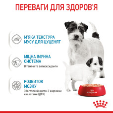 Вологий корм для новонароджених цуценят та собак у період лактації ROYAL CANIN STARTER MOUSE 195 г