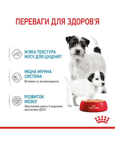 Вологий корм для новонароджених цуценят та собак у період лактації ROYAL CANIN STARTER MOUSE 0.195 кг