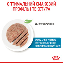 Влажный корм для новорожденных щенков и собак в период лактации ROYAL CANIN STARTER MOUSE 195 г