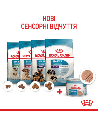 Вологий корм для новонароджених цуценят та собак у період лактації ROYAL CANIN STARTER MOUSE 0.195 кг