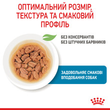 Влажный корм для щенков ROYAL CANIN MINI PUPPY 85 г