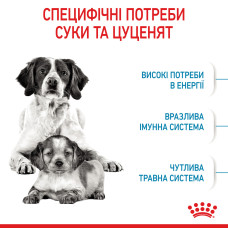 Корм для цуценят середніх порід ROYAL CANIN MEDIUM STARTER 1 кг
