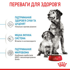 Корм для цуценят середніх порід ROYAL CANIN MEDIUM STARTER 1 кг